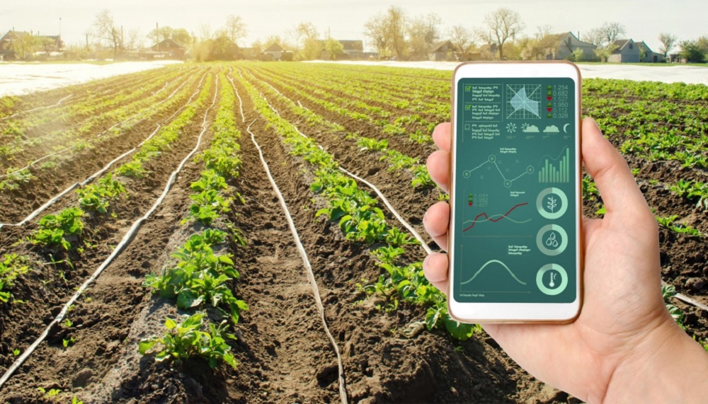 Silicon Misiones: con apoyo de Nación habrá una nueva tecnicatura en 2021