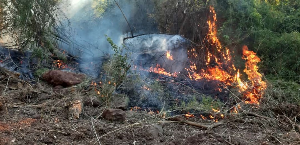 Incendios: “Va a llegar un punto en que no se va a poder más”