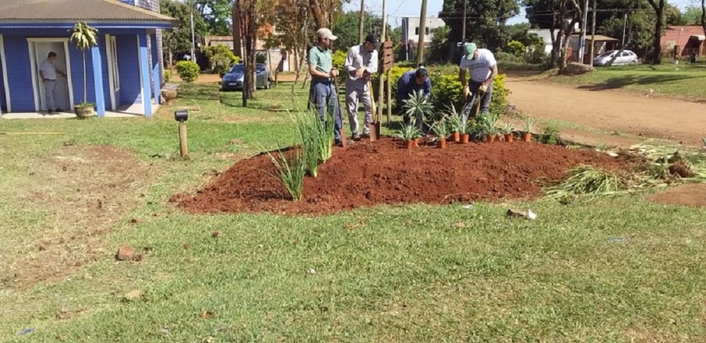 Virasoro: se plantaron más de 20 ejemplares de distintas especies arbóreas