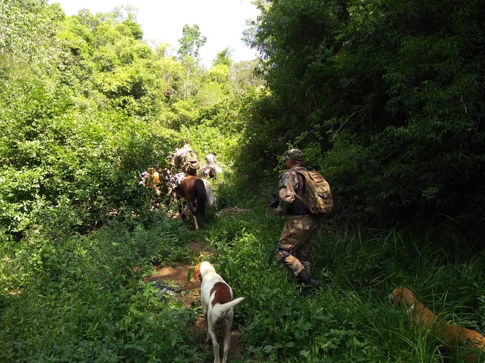 Golpe a la caza furtiva en áreas protegidas