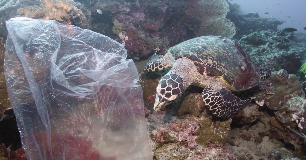 Endgame 2050: un documental sobre la crisis ambiental