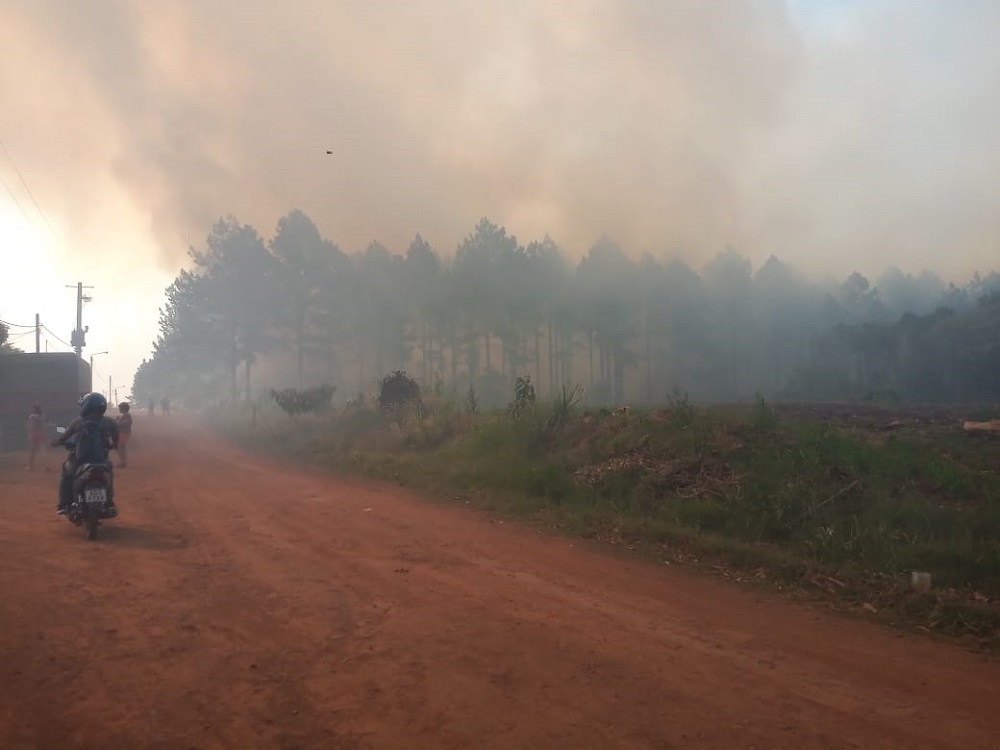 Barrio de Alem sacudido por incendio en un pinar y en una vivienda