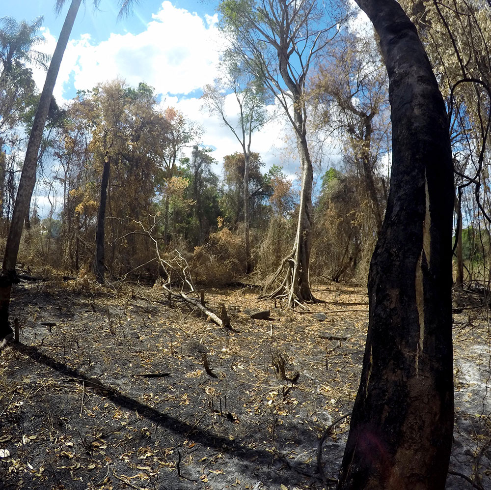 Piden “cambio radical en la gestión del Sistema de Manejo de Fuego”
