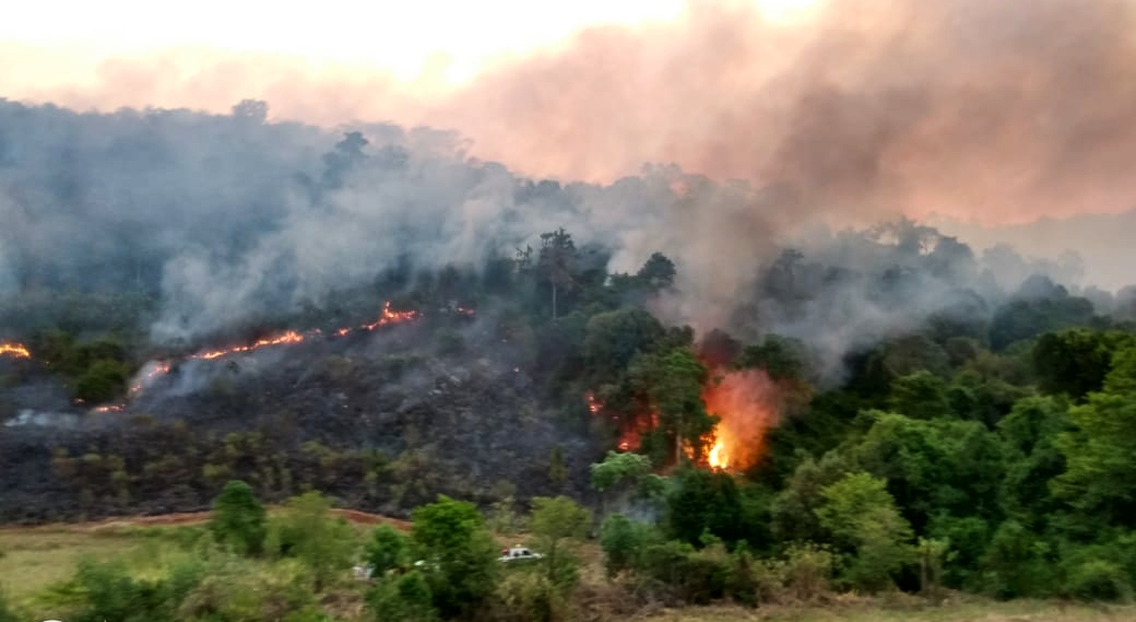Indican que el derecho penal no prevé los delitos ambientales