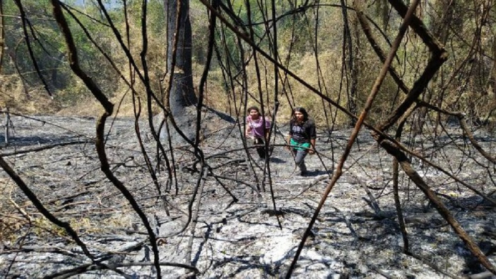 Comunidad mbya pide ayuda por los incendios en el Cuña Pirú