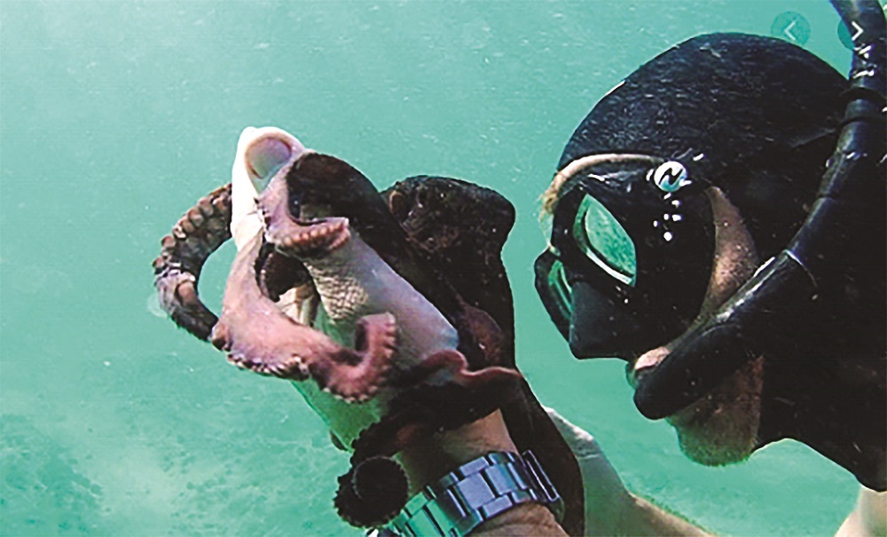 Lecciones escondidas