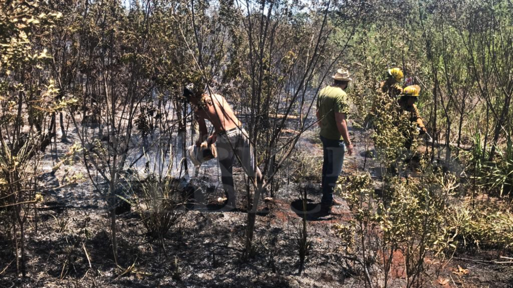 Apedrearon a bomberos de Oberá para evitar que apaguen un incendio