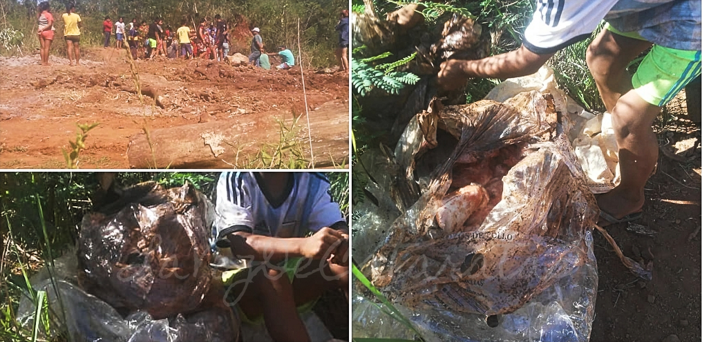 Iguazú: familias habrían desenterrado pollos incautados y en mal estado