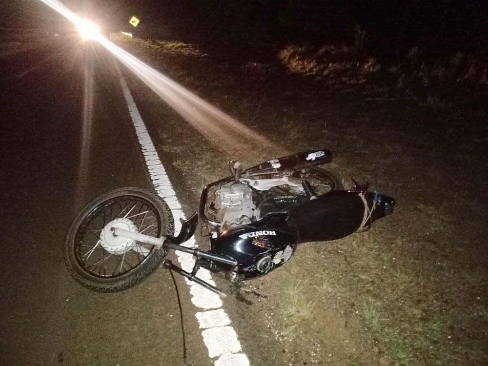 Un motociclista falleció tras impactar con una vaca