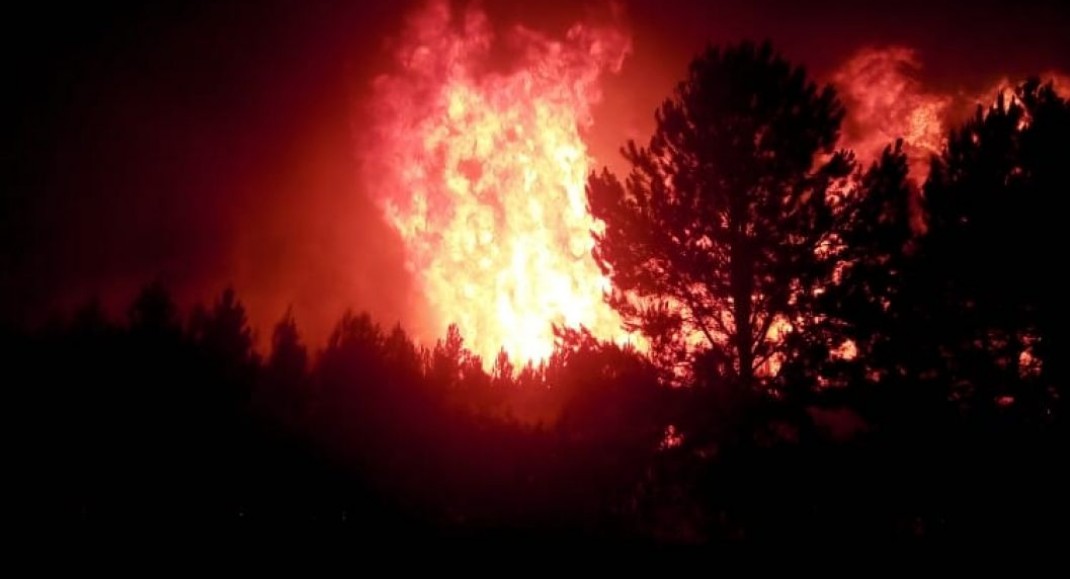 Incendios en Gobernador Virasoro ya afectaron casi 10 mil hectáreas