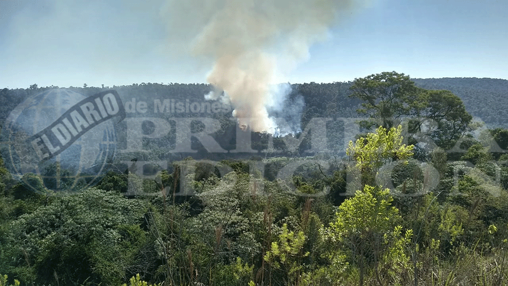 Incendio en Yabotí: está llegando el avión hidrante