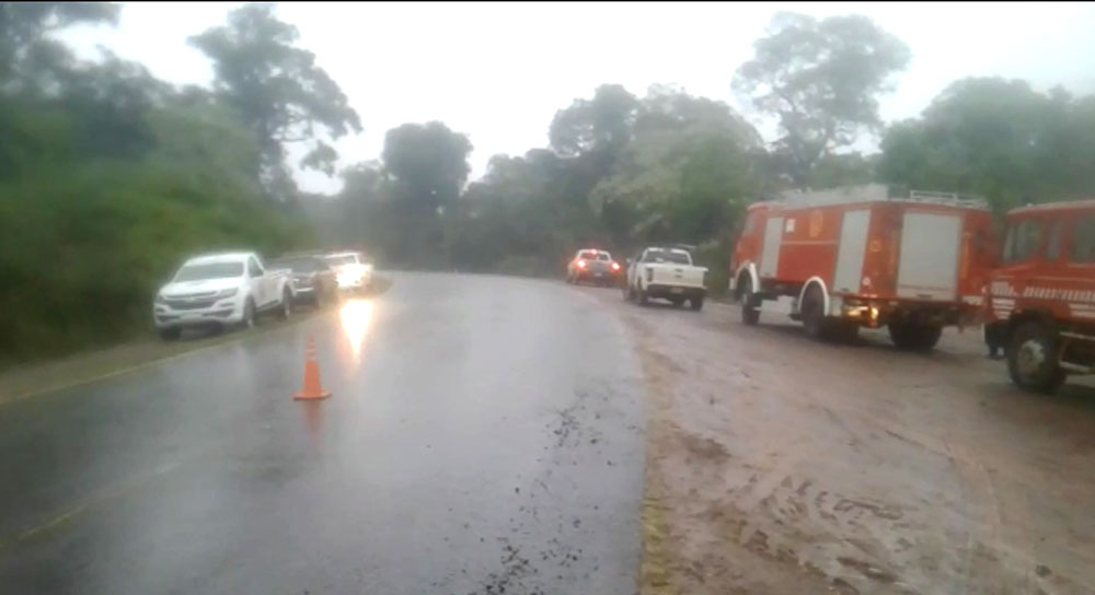 Indican que la lluvia opacó el fuego en la Biósfera de Yabotí