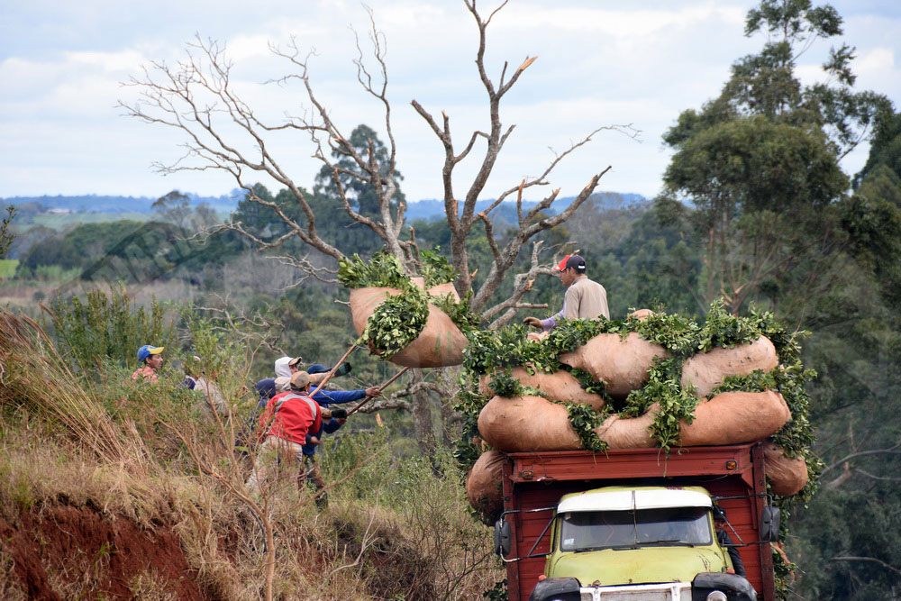 Misiones reclamará a Nación la eliminación de retenciones