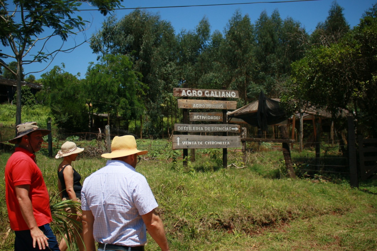 El cultivo de citronella como una experiencia de vida en El Soberbio