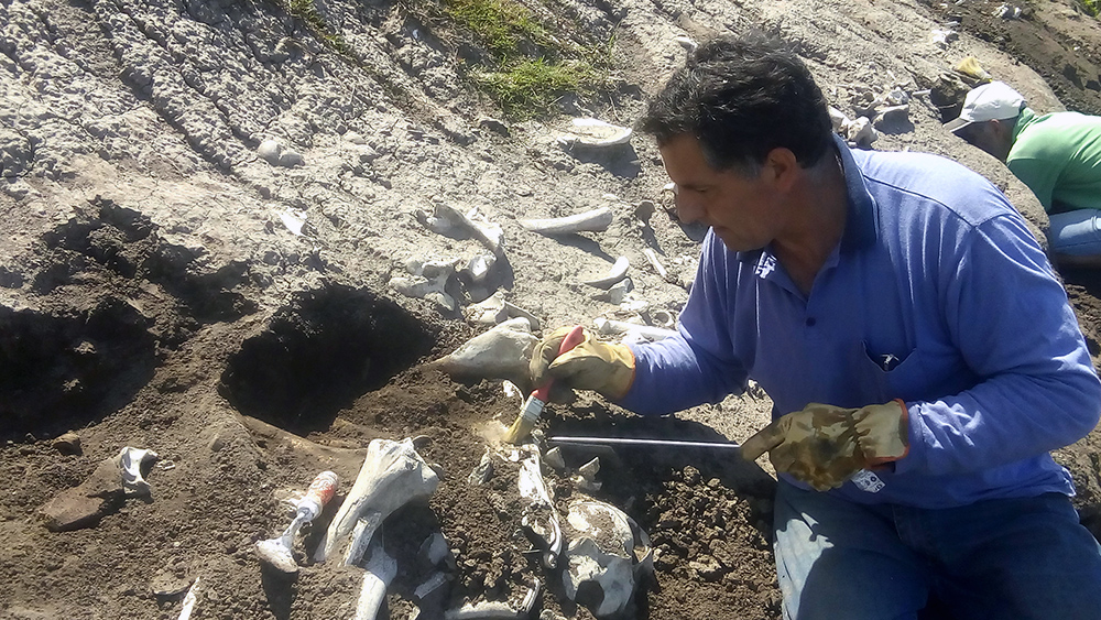 La "Gran Seca" Darwin - San Pedro Buenos Aires