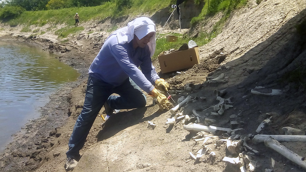 La "Gran Seca" Darwin - San Pedro Buenos Aires