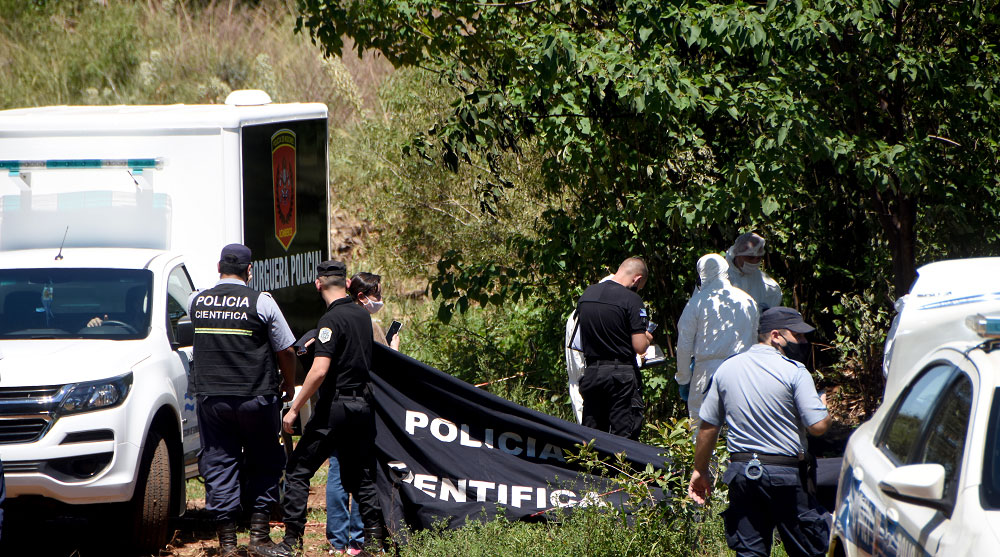 De los restos calcinados en Parma sólo se obtendría un registro de ADN