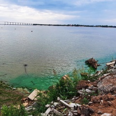 Cianobacterias en el Paraná