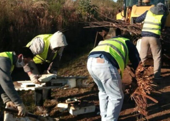 Pedido de los gremios en al menos nueve municipios por un bono