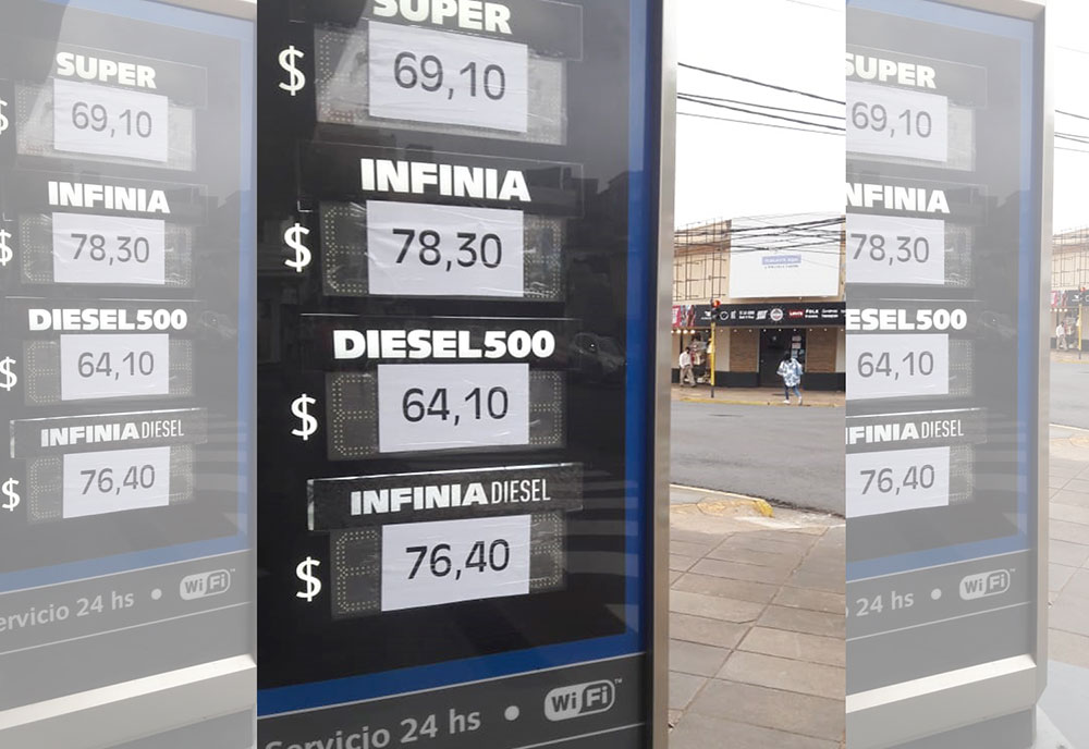 Después del incendio: estudiantes plantan árboles en Ruiz de Montoya