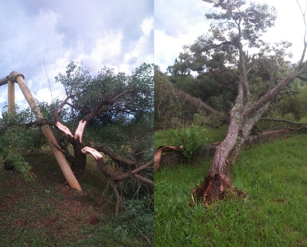 Más de medio día sin agua en Apóstoles