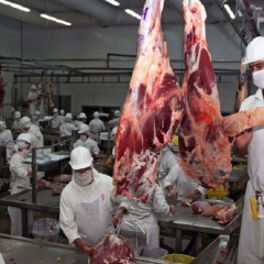 Paraguay - exportación de carne