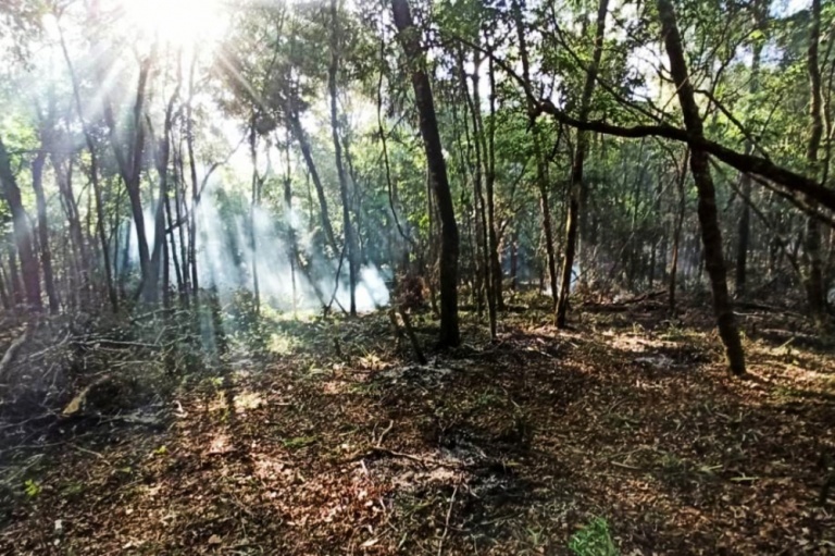 Wanda avanza en la compra de lotes que venderá a ocupantes