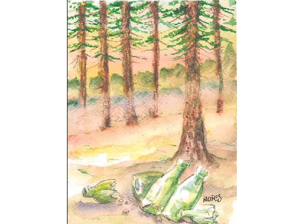 Un hallazgo en el pinar