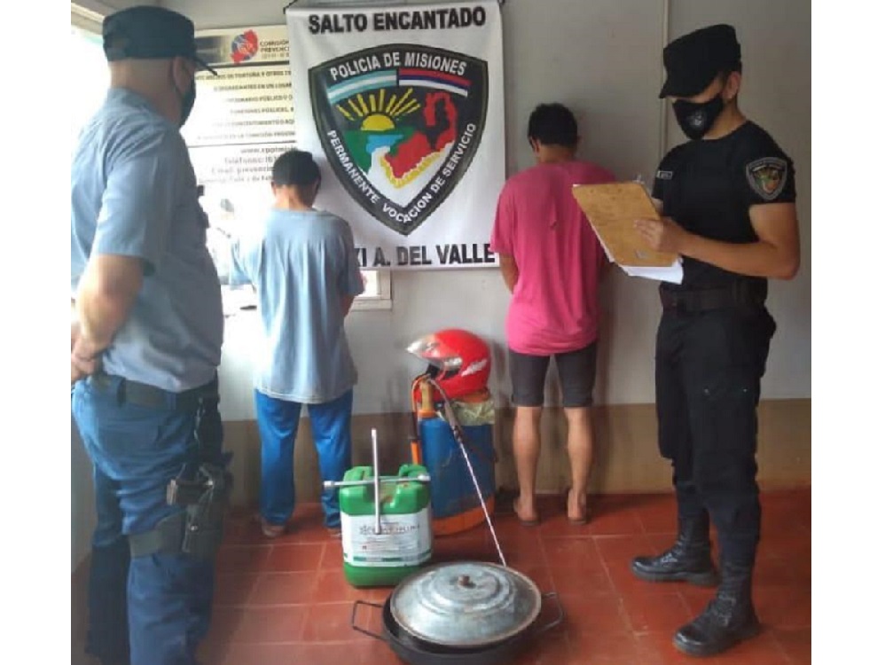 Los filmaron robando herramientas y terminaron detenidos