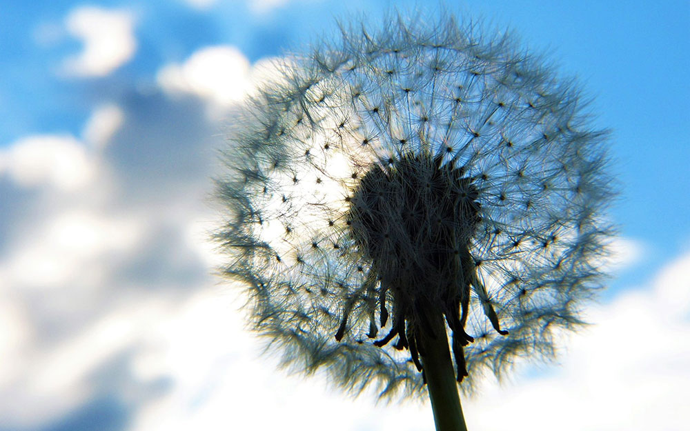 El valor de la integridad