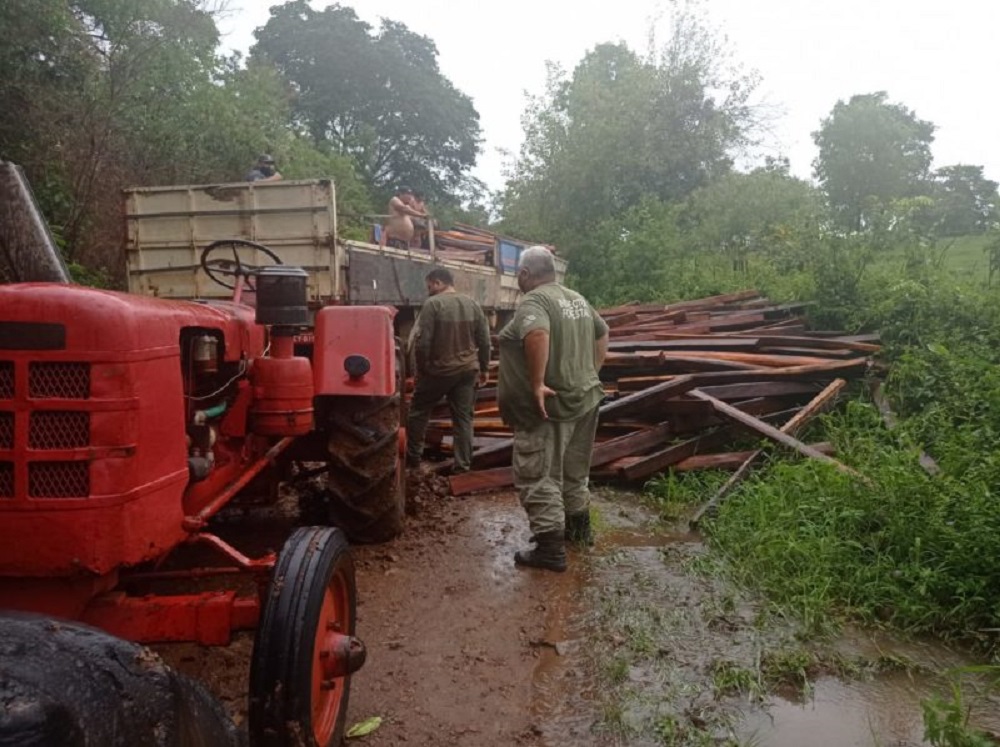 El barro frenó contrabando de madera nativa en Cerro Corá
