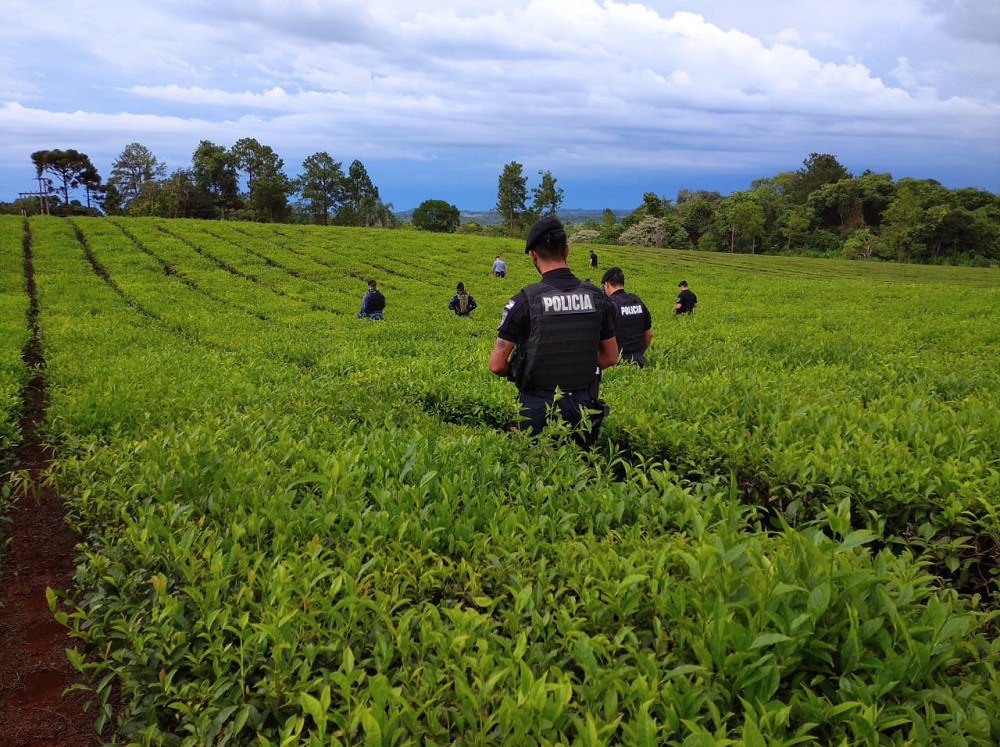 Sexto día de búsqueda de un hombre perdido en San Vicente