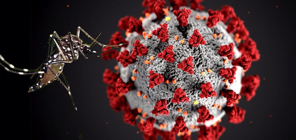 Salta confirma casos de pacientes con “coronadengue”