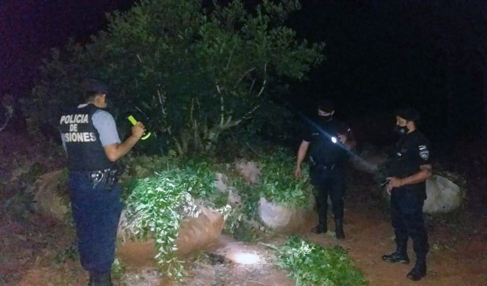 Campo Viera - robo de yerba mate