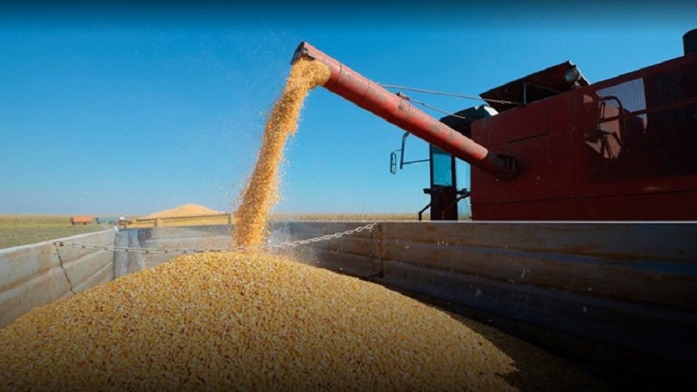 Este lunes comienza el paro del campo por tres días