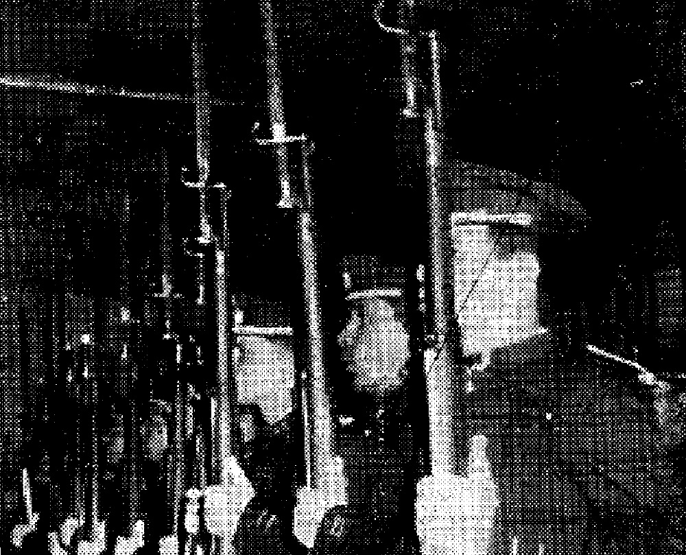 Archivos: La odisea de un joven mbya misionero en Paraguay