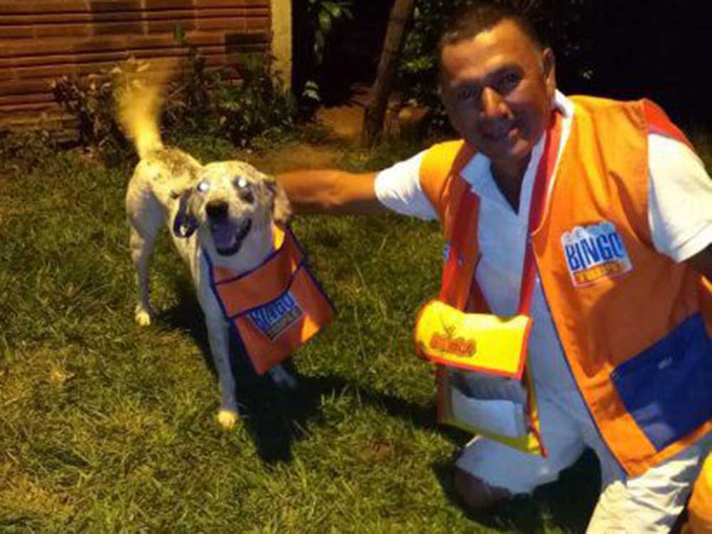 Viral: El perro que ayuda a su dueño a vender cartones de lotería en Paraguay