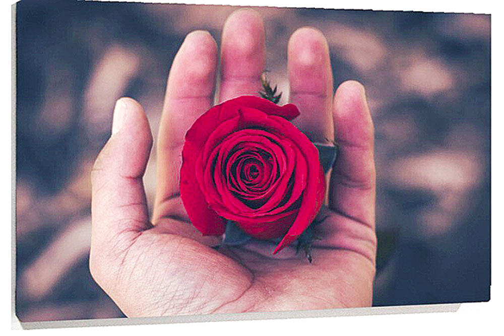 Técnicas para dominar la mente