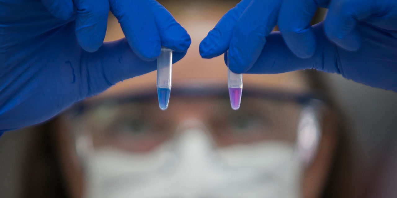 La ANMAT aprobó el test argentino de detección rápida