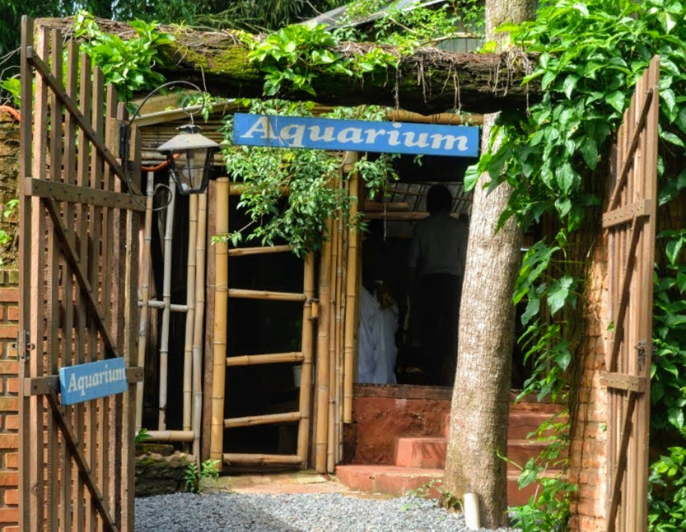 Reabrieron el Aquarium y el Laberinto