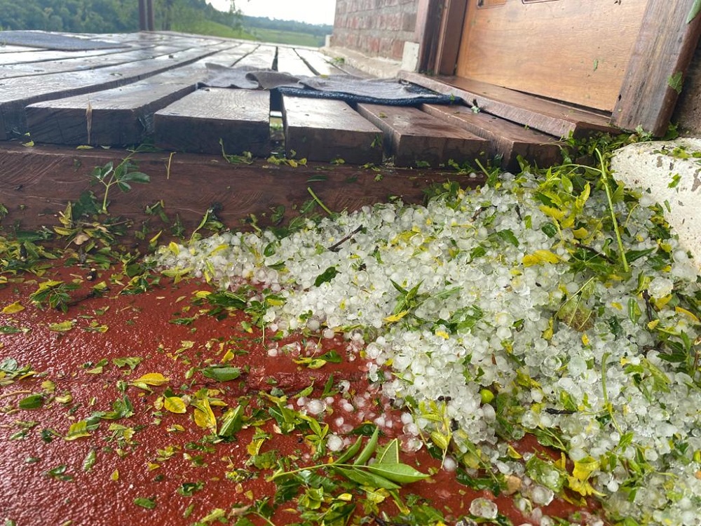 Granizo en Andrade y Cerro Azul provocó daños a productores
