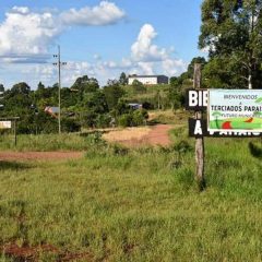 Terciados Paraíso municipalización