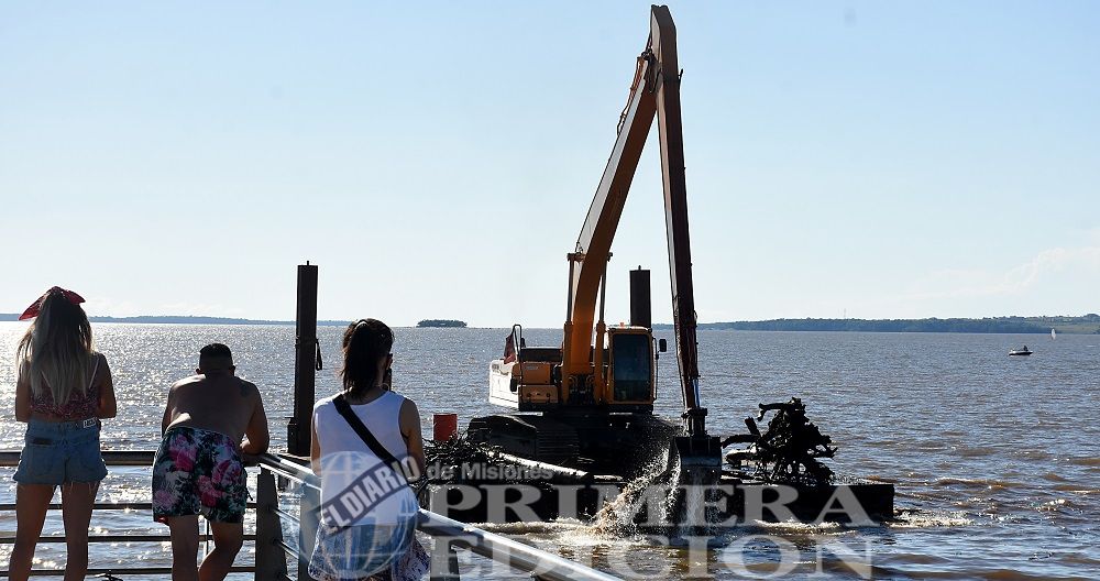 Continúa la limpieza de las costas del Paraná