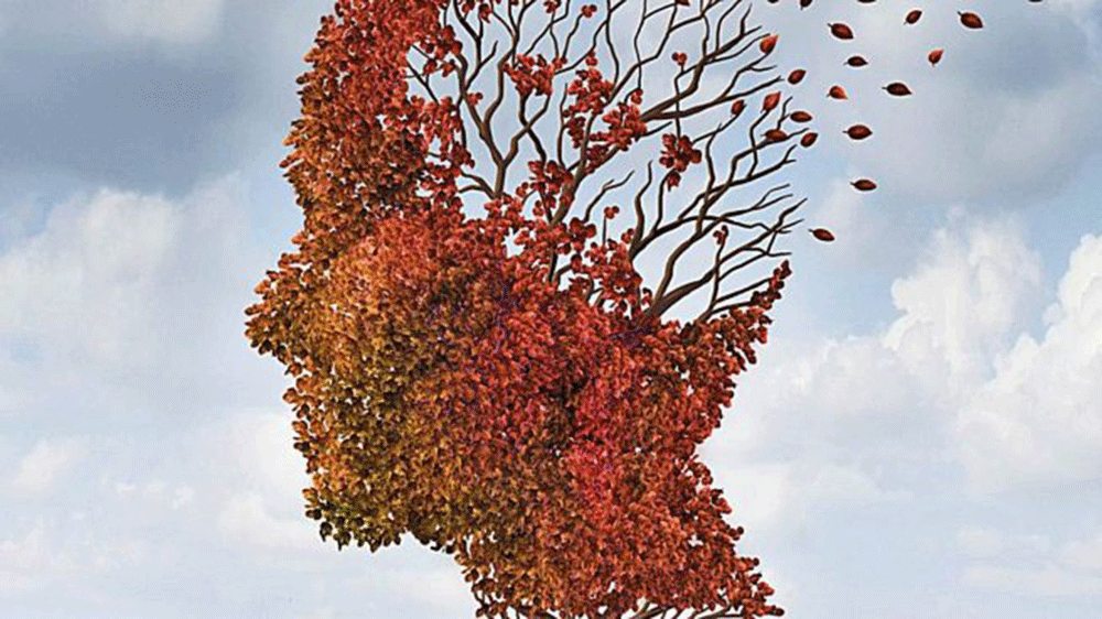 El cerebro humano crea neuronas hasta los 90 años