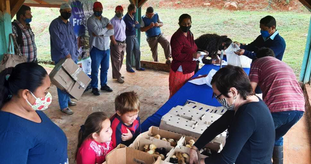 Entregaron pollitos a productores