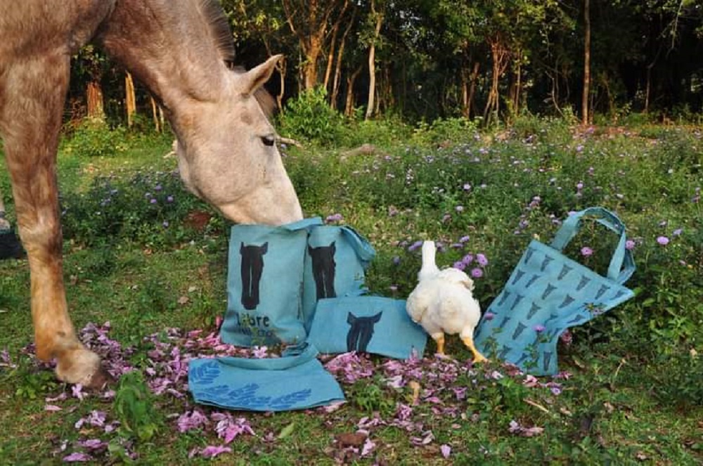 Venden frutas y artículos ecológicos para mantener a caballos rescatados