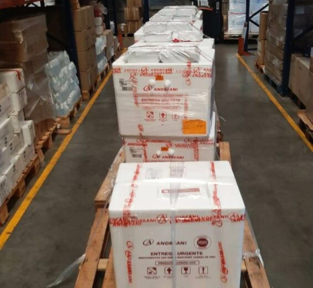 Misiones recibió 10.100 dosis de vacunas Sputnik V