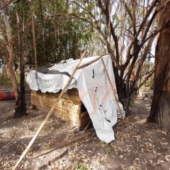 Misioneros eran obligados a trabajar "en condiciones infrahumanas" en Corrientes