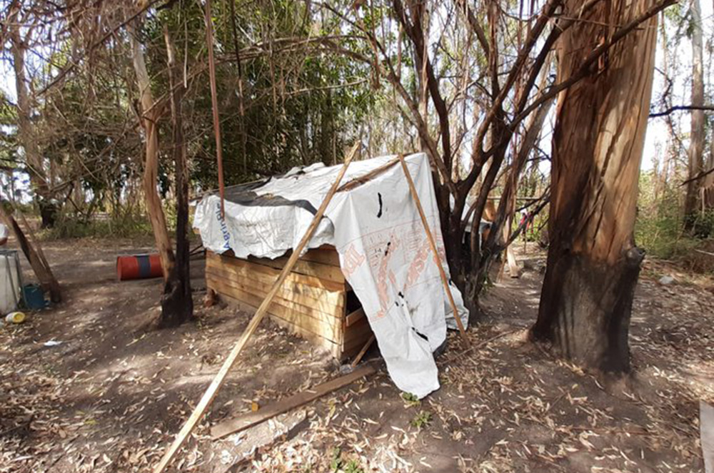 Misioneros eran obligados a trabajar "en condiciones infrahumanas" en Corrientes