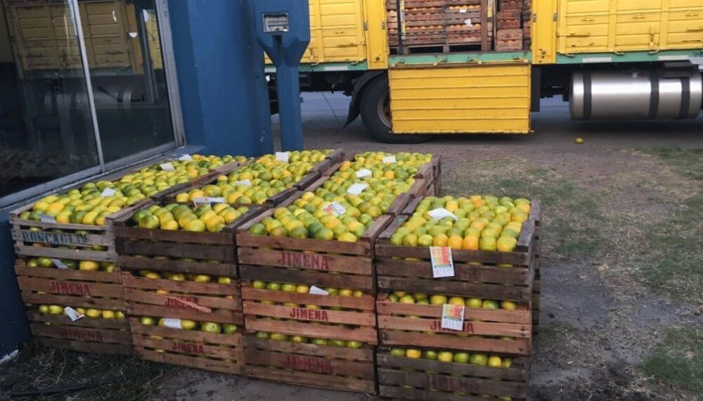 Retuvieron cajones de mandarinas por falta de documentación